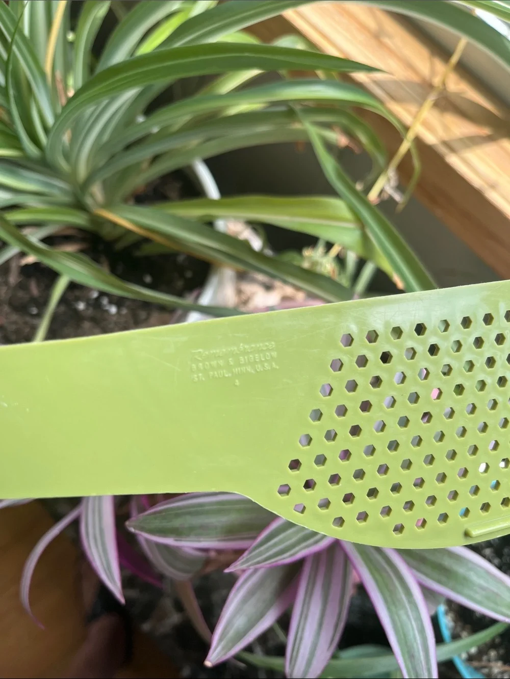 Vtg ESSO Exxon TONY THE TIGER Pot Strainer AVOCADO GREEN Plastic MCM Advertising